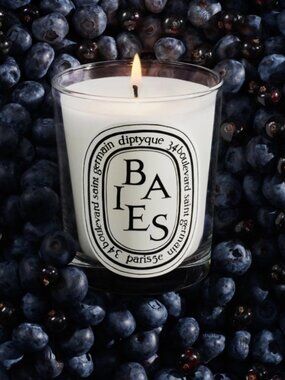 Diptyque Paris Baies Candle 190g *NISB* MSRP:$78+tax